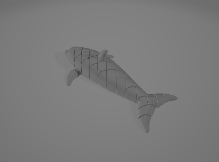 Photo of Dolphin Flexi Model